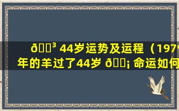 🐳 44岁运势及运程（1979年的羊过了44岁 🐡 命运如何）